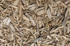 biomass boilers Duncrievie